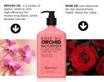Beamarry Rose Oil Orchad Nourish Shampoo 380ml
